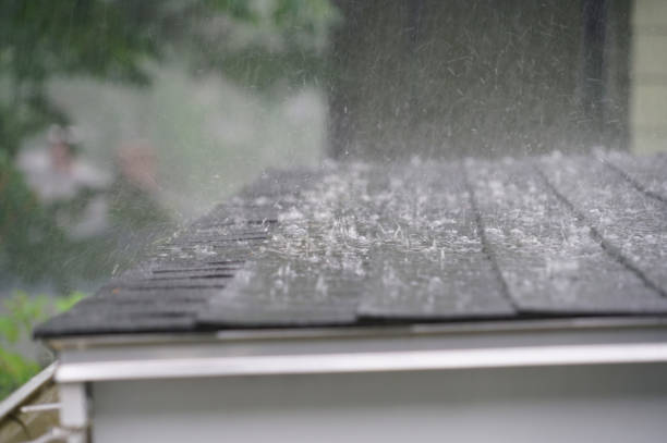 Best Roof Leak Repair  in Wayne, OH