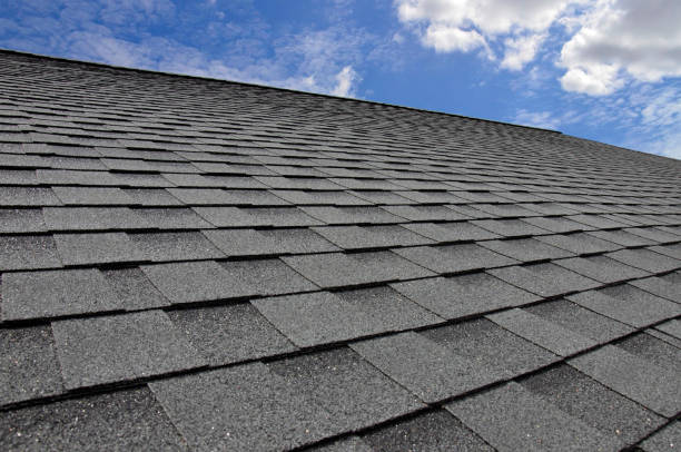 Best Roof Coating and Sealing  in Wayne, OH